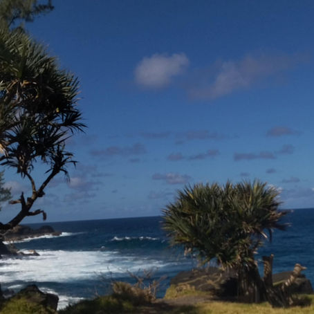 île de la réunion et le Vacoa au bord de l'océan