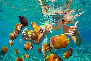 best-snorkeling-in-oahu.webp