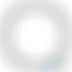 RE17162 Planetary disc