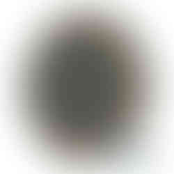 AL71088 trans disc
