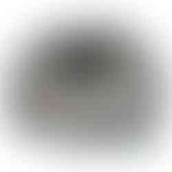 AL23095 Pressure plate