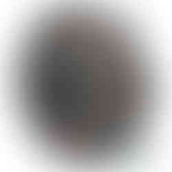 AL120026 Pressure plate