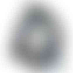 R65440 pressure plate