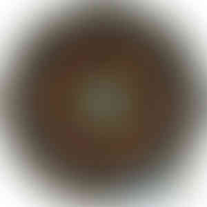 RE29607 Transmission disc