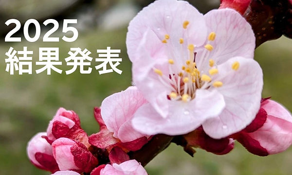 2025結果発表タイトル