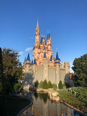 IMG_1061.jpeg
