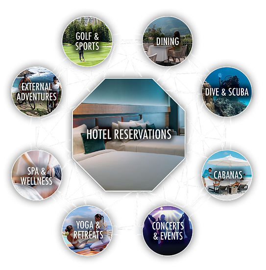 TF illustrated diagram NEW.png