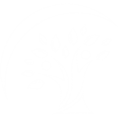 CommunitiesForYouth_Logo-tree-white_edit