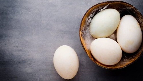 duck-eggs-500x500.jpg