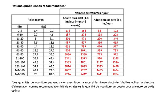 Boeuf_et_poulet_SL20-27D_-1.jpg