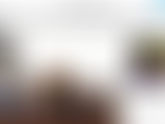 The Season of Peace campaign