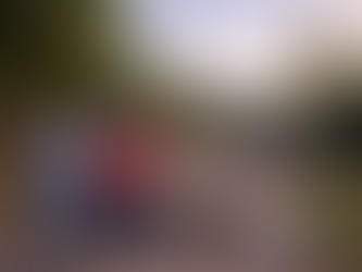 Vecinos de El Tule se organizan para mejorar la iluminación de su calle principal