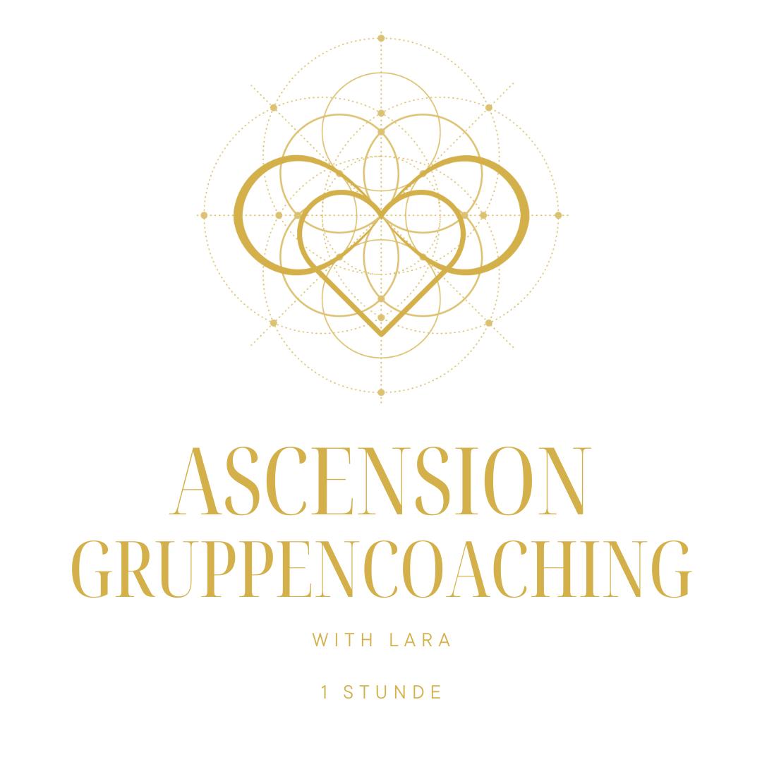 Gruppencoaching Yves