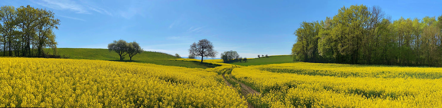 field-5065671.jpg