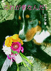 これが愛なんだ！.jpg