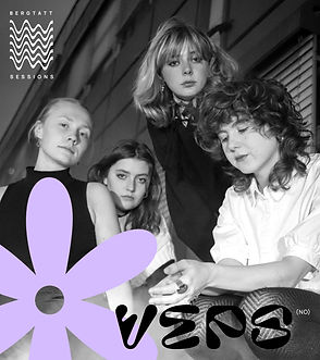 veps sessions.001.jpeg