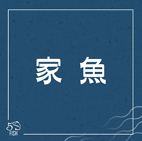 魚種-06.png