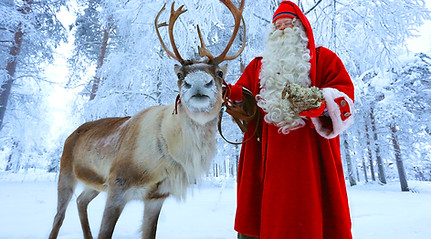 santa-claus-reindeer-in-santa-claus-village-in-lapland-finland.jpg