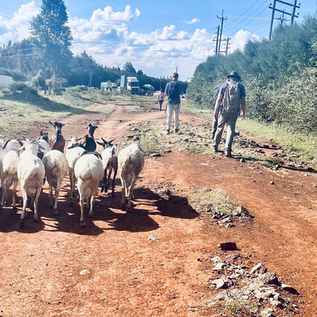 An Update from Kenya (feat. Michael Hudson):