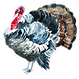 Watercolor Turkey 2