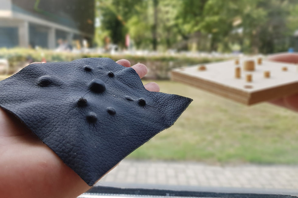 interactive materiality front.jpg