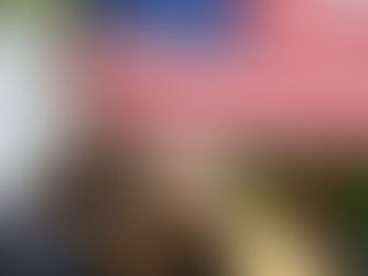 Veterans with Dementia: Honoring Service While Facing Memory Loss