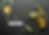 Olive Oil.png
