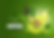 Avacado Oil- CTRM Group.png