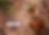 Gum Arabic.png