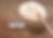 Fufeng 80 Mesh.png