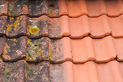 AdobeStock_317812809.jpeg