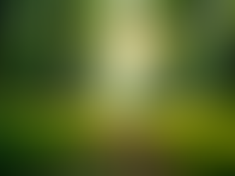 The Importance of Sustainable Living in Today's World
