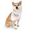 Thumbnail: Pet Bandana Collar - Cute and Stylish Paws with Rhythm for Dogs and Cats