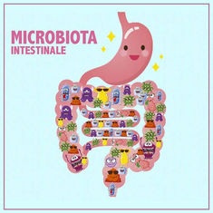 Dissenteria e microbiota intestinale: quale relazione esiste?