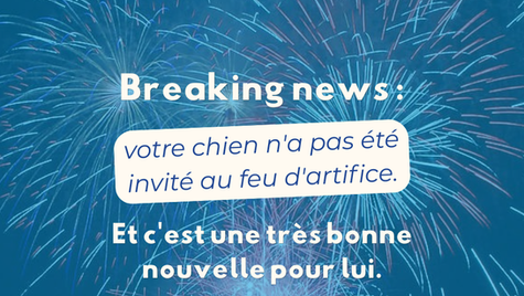 Certains événements provoquant des bruits soudains, forts ou sourds, voire des vibrations, peuvent être une source de stress pour un grand nombre d’animaux. La plupart de ces stimuli sont difficilement prévisibles : coup de tonnerre, pétard, coup de feu… Difficile d’anticiper à quel moment ils vont survenir. Mais il est un de ces événements qui peut être anticipé : les feux d’artifices du 14 juillet !