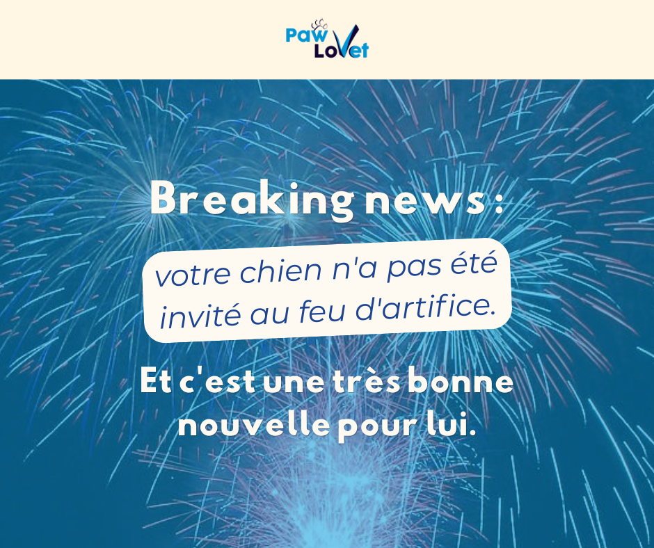 Certains événements provoquant des bruits soudains, forts ou sourds, voire des vibrations, peuvent être une source de stress pour un grand nombre d’animaux. La plupart de ces stimuli sont difficilement prévisibles : coup de tonnerre, pétard, coup de feu… Difficile d’anticiper à quel moment ils vont survenir. Mais il est un de ces événements qui peut être anticipé : les feux d’artifices du 14 juillet !