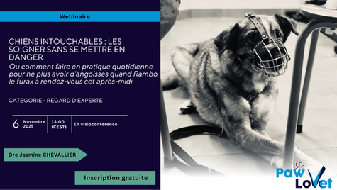 Webinaire - Chiens intouchables : les soigner sans se mettre en danger.