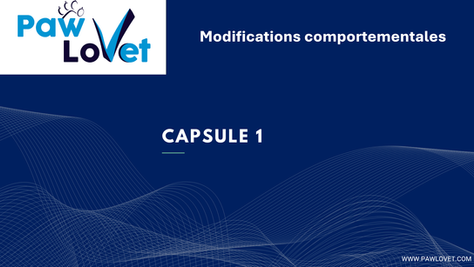 Modifications comportementales : Capsule 1