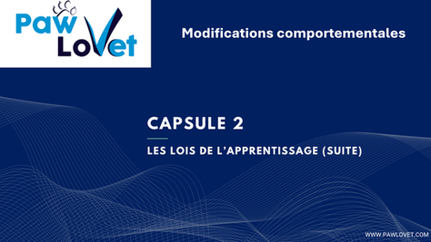 Modifications comportementales : Capsule 2