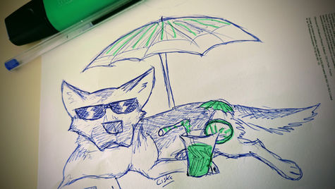 Canicule : Faut-il tondre son animal ? Une réponse expliquée par la physique