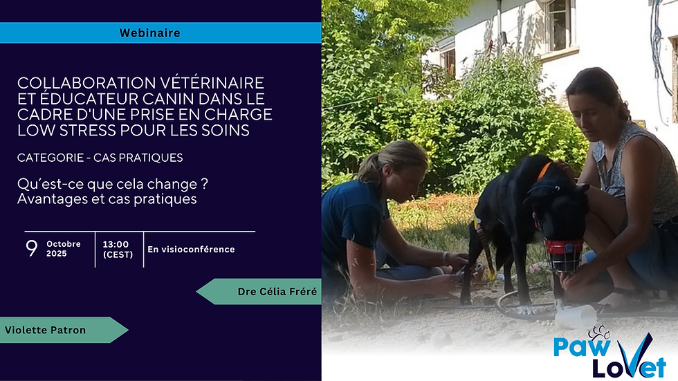 Webinaire - Collaboration vétérinaire et Educateur canins dans le cadre de prises en charge low stress - Cas pratiques