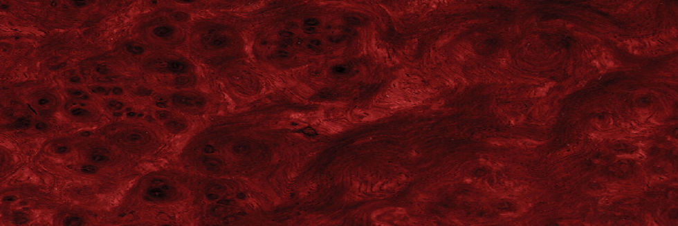 Background Red Edited.jpg