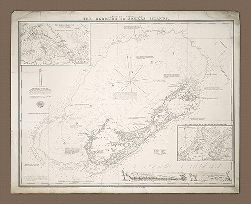 NWT Davison's of Bermuda Embroidered Floral Canvas Tote Bag Shopper 14