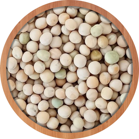 White Pea Beans