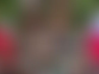 Światowy Dzień Sybiraka