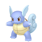 PKM(0).png