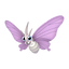 Venomoth