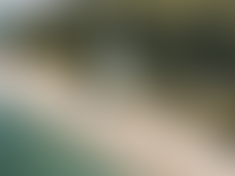 Ocean Shores Church: Events, Sermons, and Donations Online