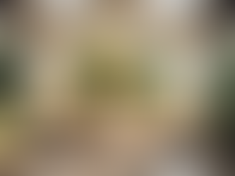 Connect with Shores Fellowship: Events, Sermons, and Online Giving