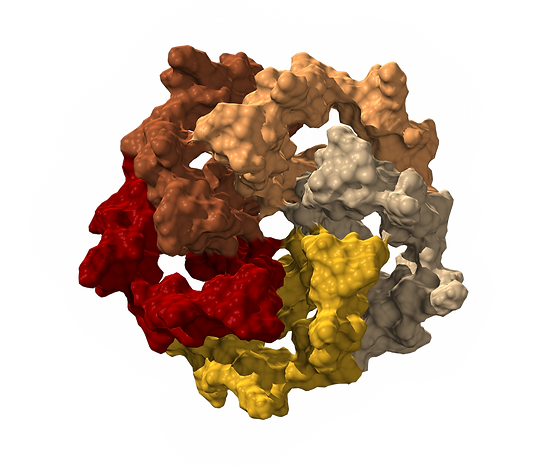 外套膜蛋白 Sciforall